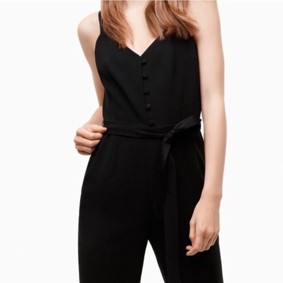 Aritzia Pants - Aritzia Little Moon Petunia Jumpsuit